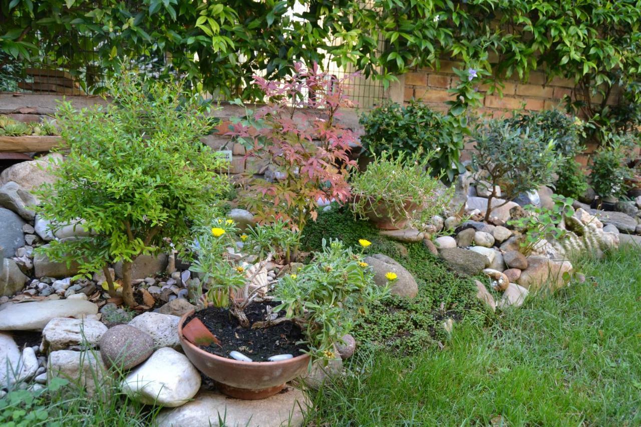 라벤나 Il Giardino Roccioso B&B 외부 사진